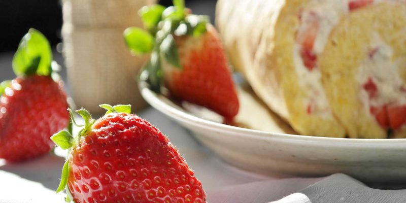 ferienhof-eiderdeich-cck-kuchen