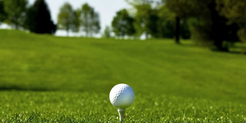 ferienhof-eiderdeich-golf